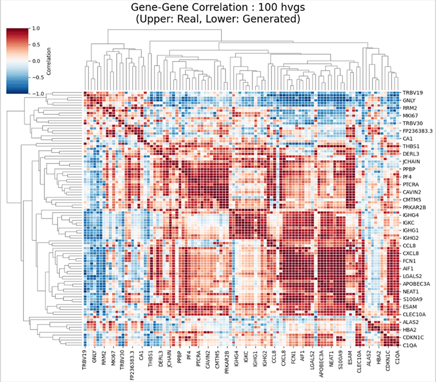Identical Gene-Gene Correlation