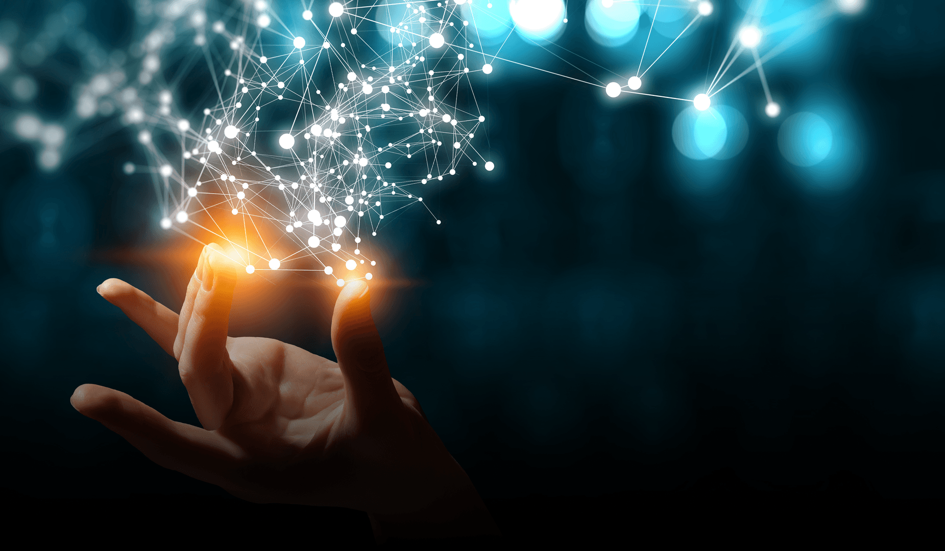 Network visualization